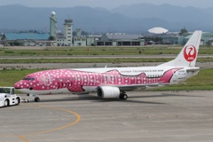 さくらジンベエ