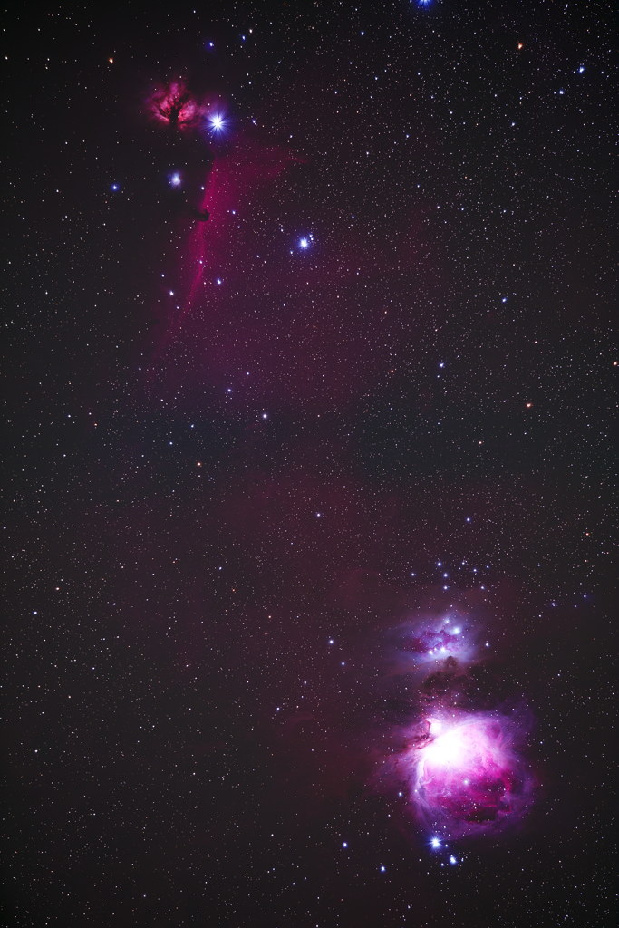 オリオン大星雲と馬頭星雲