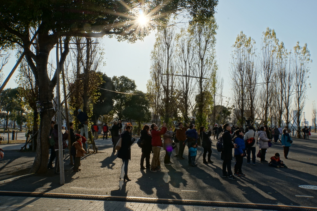 公園の夕日