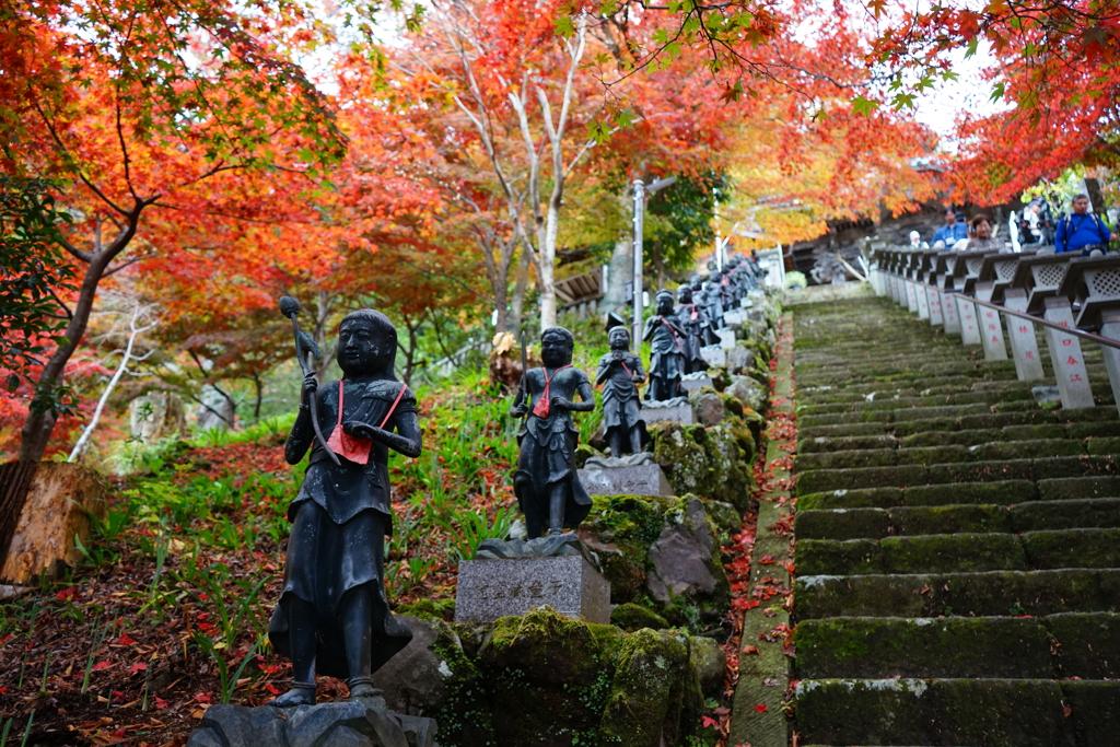 神奈川県の大山中腹の寺での紅葉