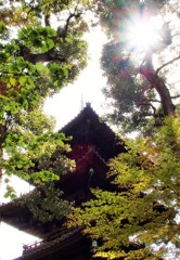 椿山荘