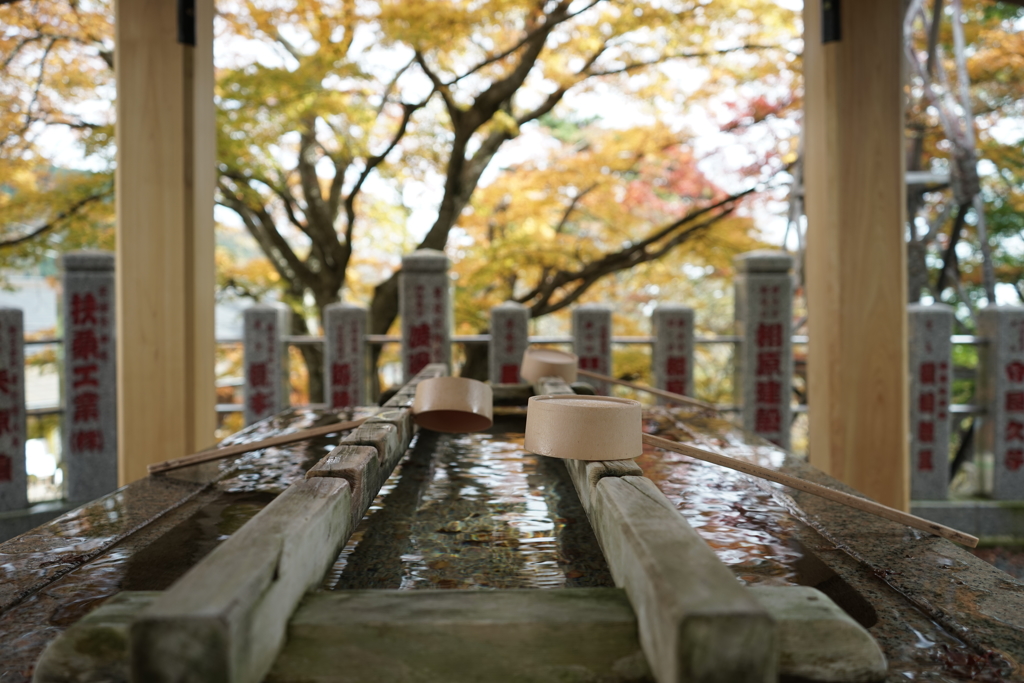 水面の紅葉