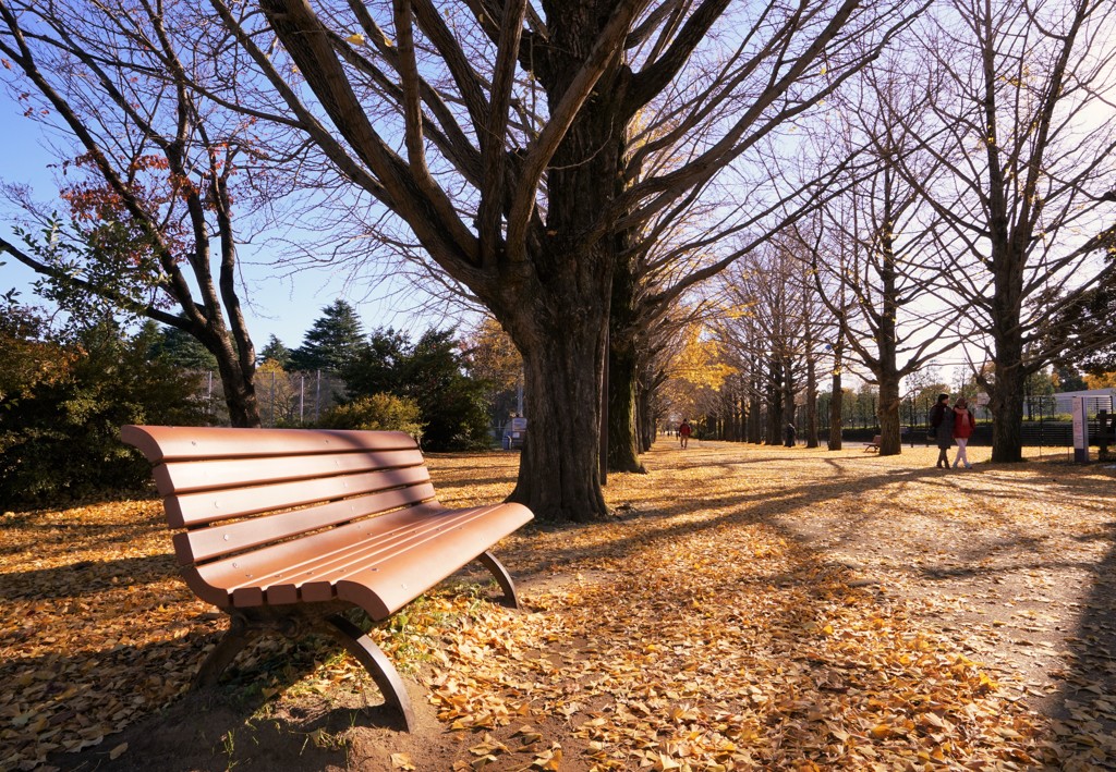 紅葉のベンチ