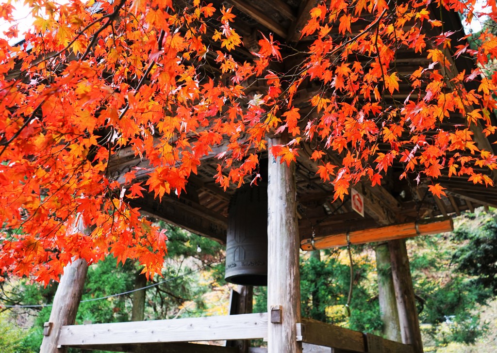 紅葉に埋まる鐘つき堂
