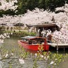 彦根城　堀端