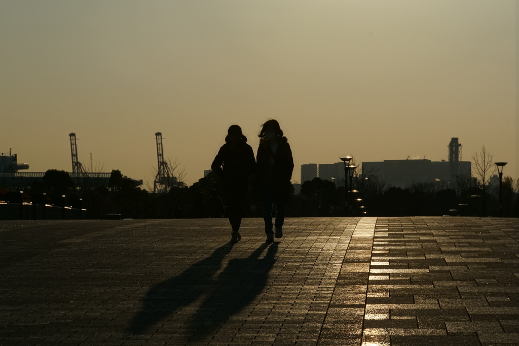 夕日の中