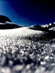 冬限定の白い砂丘