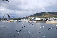 ぶらり淡路島