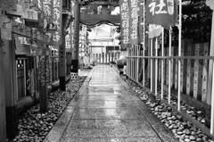 大阪　中の島界隈