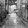 大阪　中の島界隈