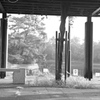 公園にて