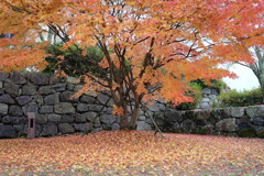 ぶらり丹波篠山