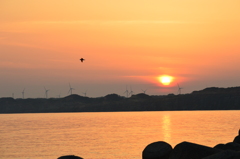 夕日