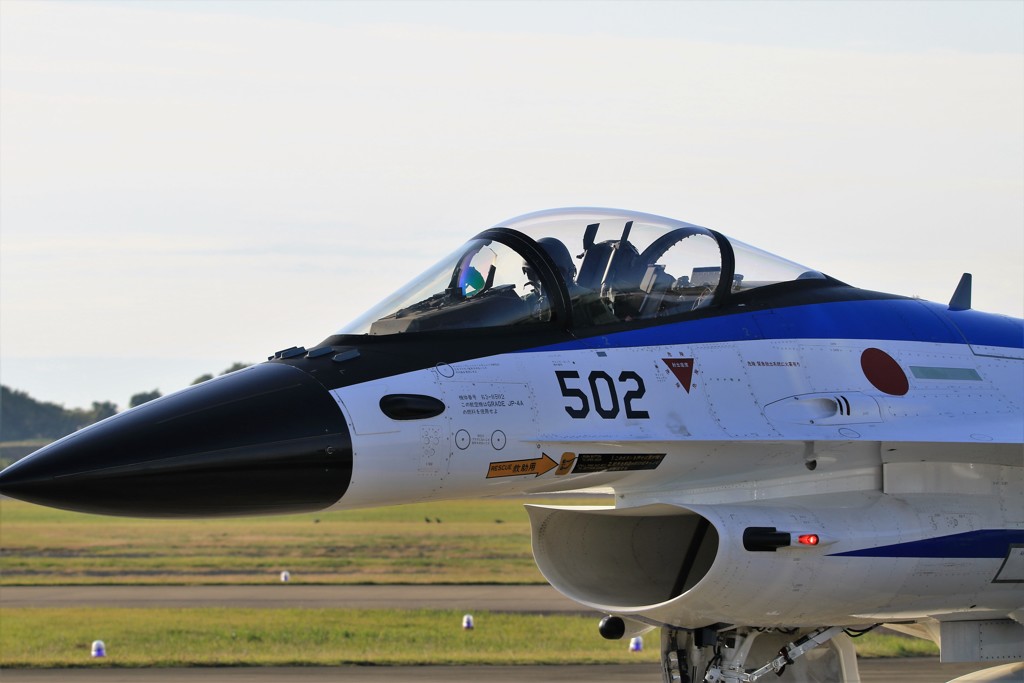 岐阜航空祭2016　F-2