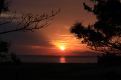 慶野松原～夕陽～