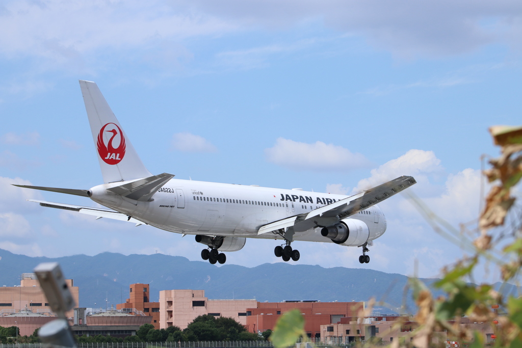 久し振りにカメラを持って２