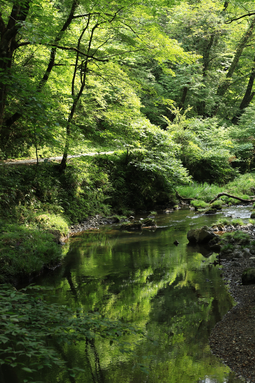 広島県 帝釈峡～遊歩道～