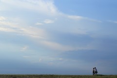 夏の空