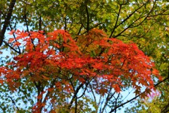 るり溪にて