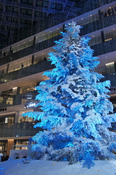 KITTE　クリスマスツリー