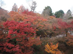 東福寺15