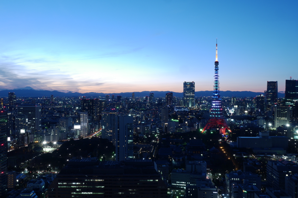 東京タワー2