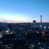 東京タワー2
