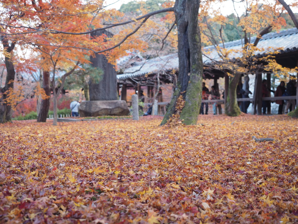 東福寺2