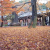東福寺2