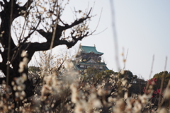 大阪城梅林11