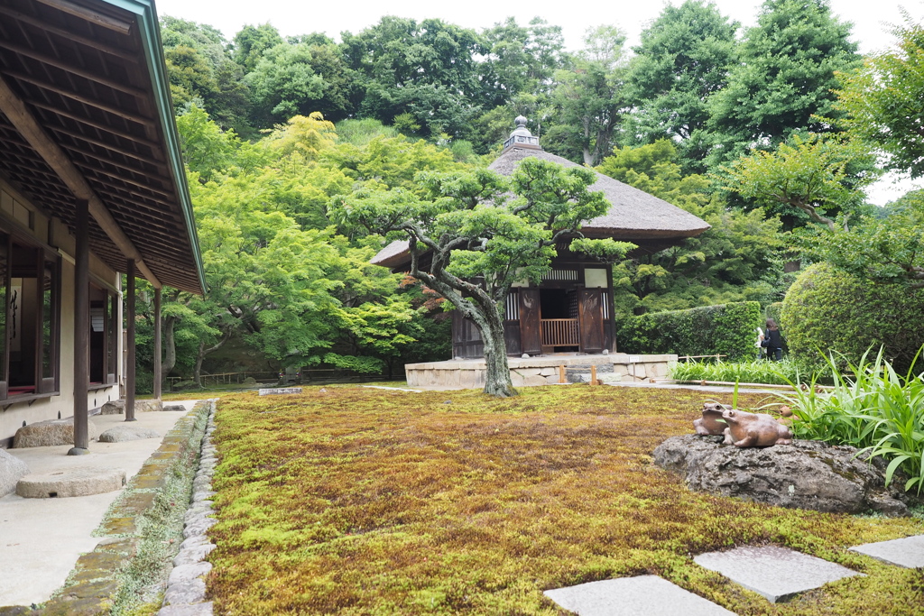 鎌倉　長寿寺1