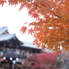 東福寺5
