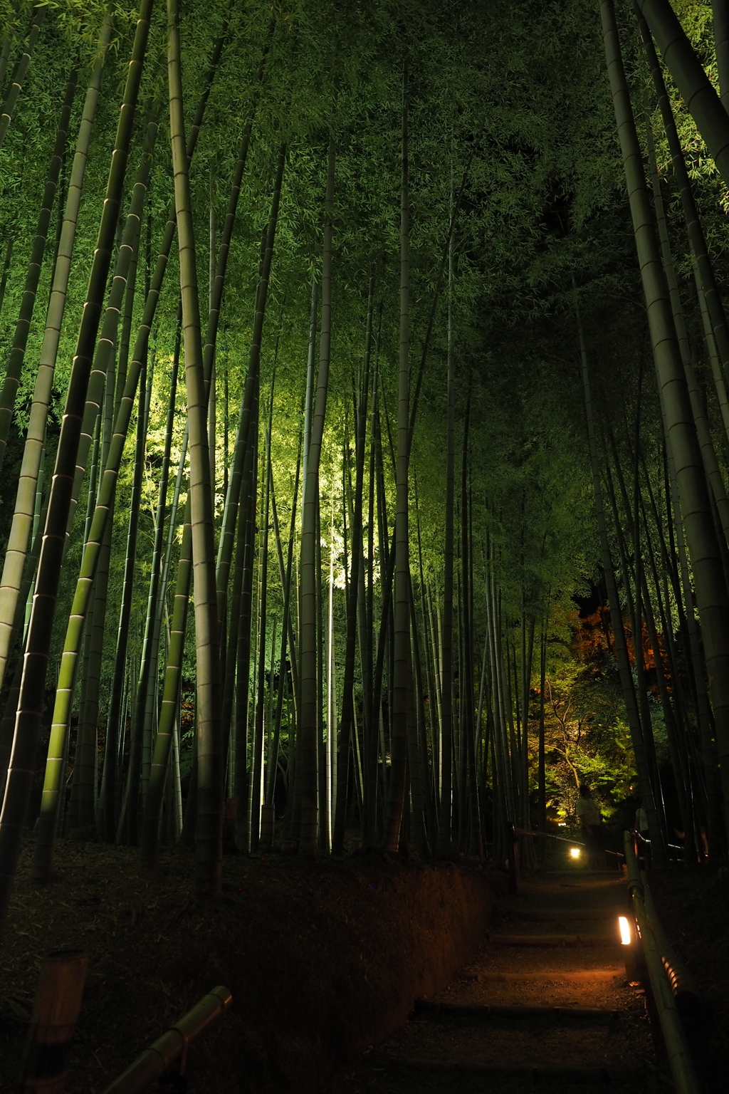 高台寺4