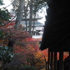 東福寺12