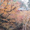 東福寺4