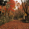 鶏足寺3