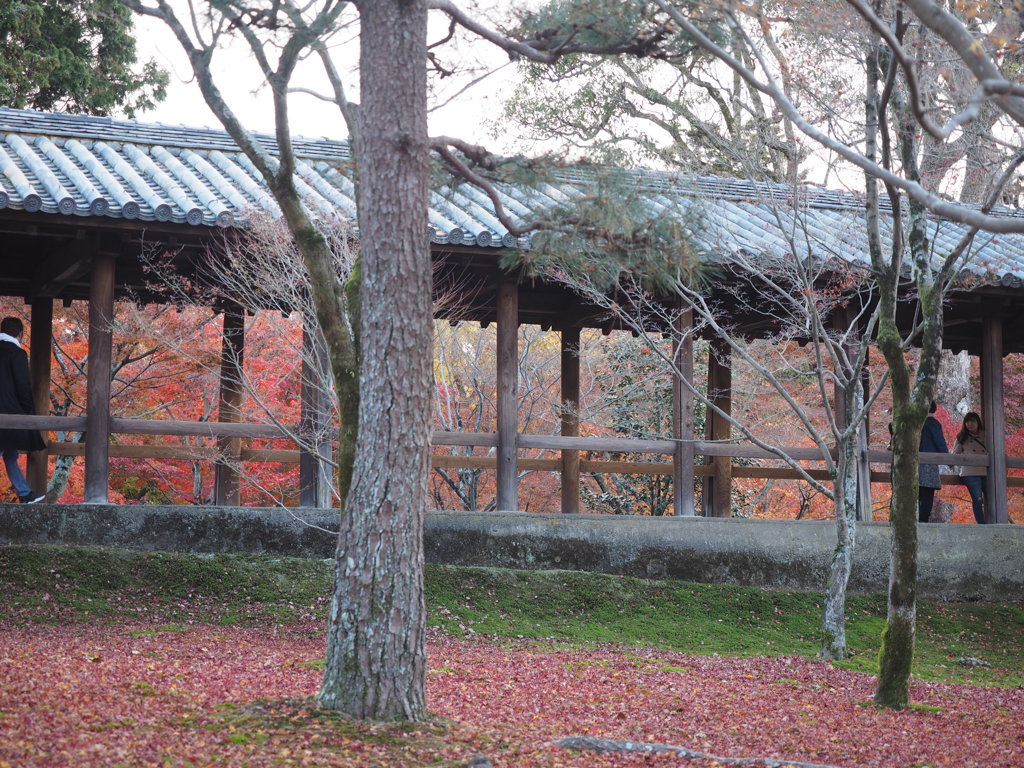 東福寺6