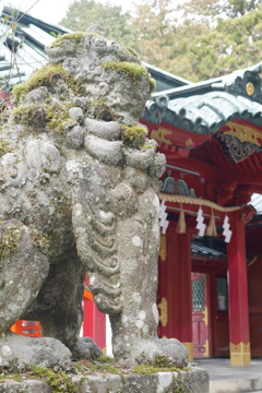 箱根神社3