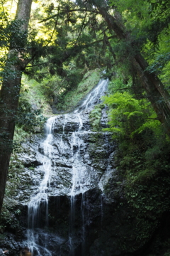 飛龍の滝1