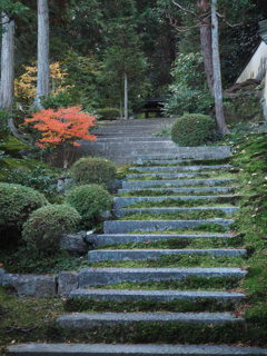 東福寺13