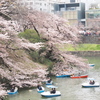 千鳥ヶ淵