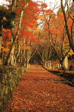 鶏足寺4