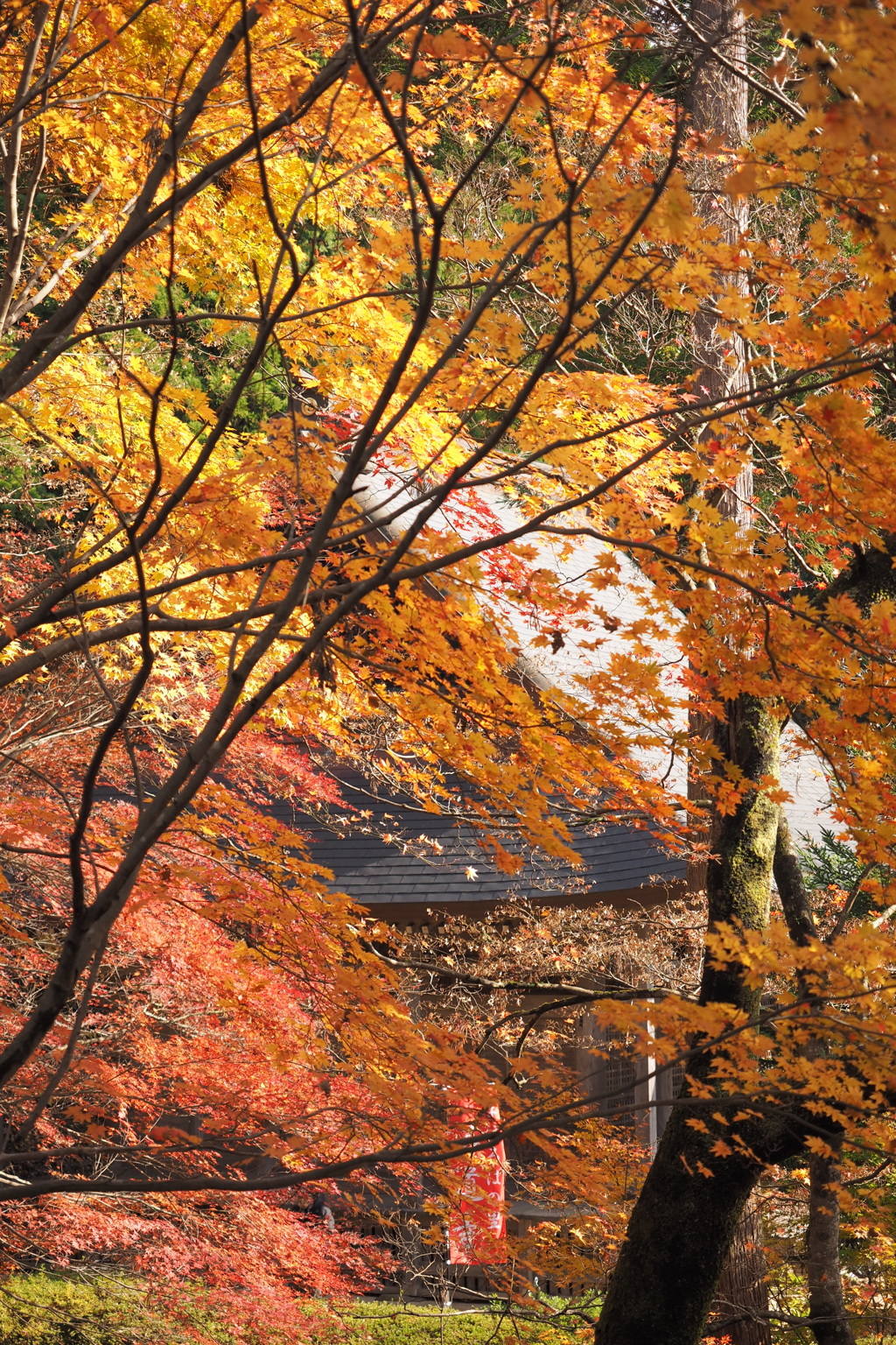 石道寺1