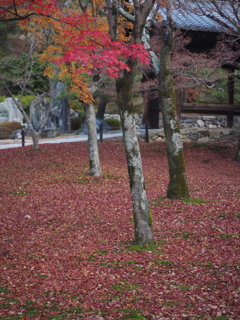 東福寺10