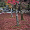 東福寺10