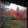 東福寺11