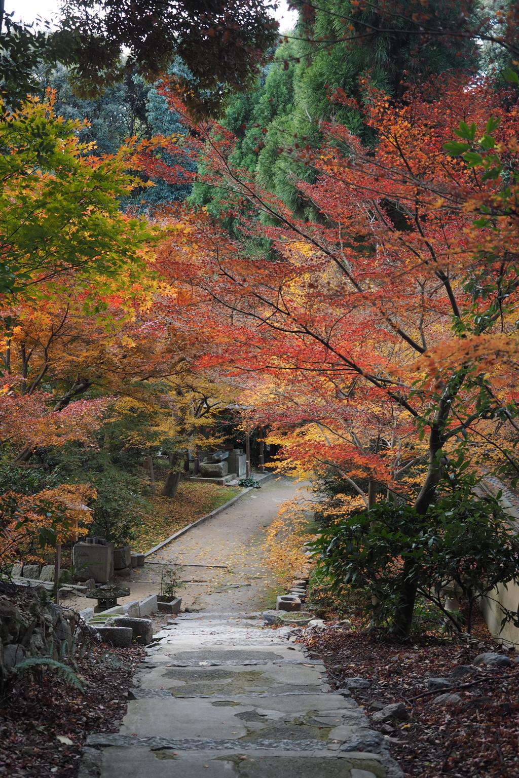 即宗院9