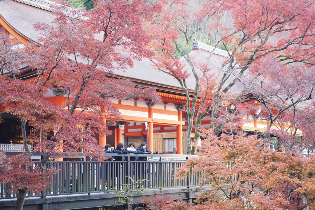 清水寺３