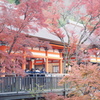清水寺３