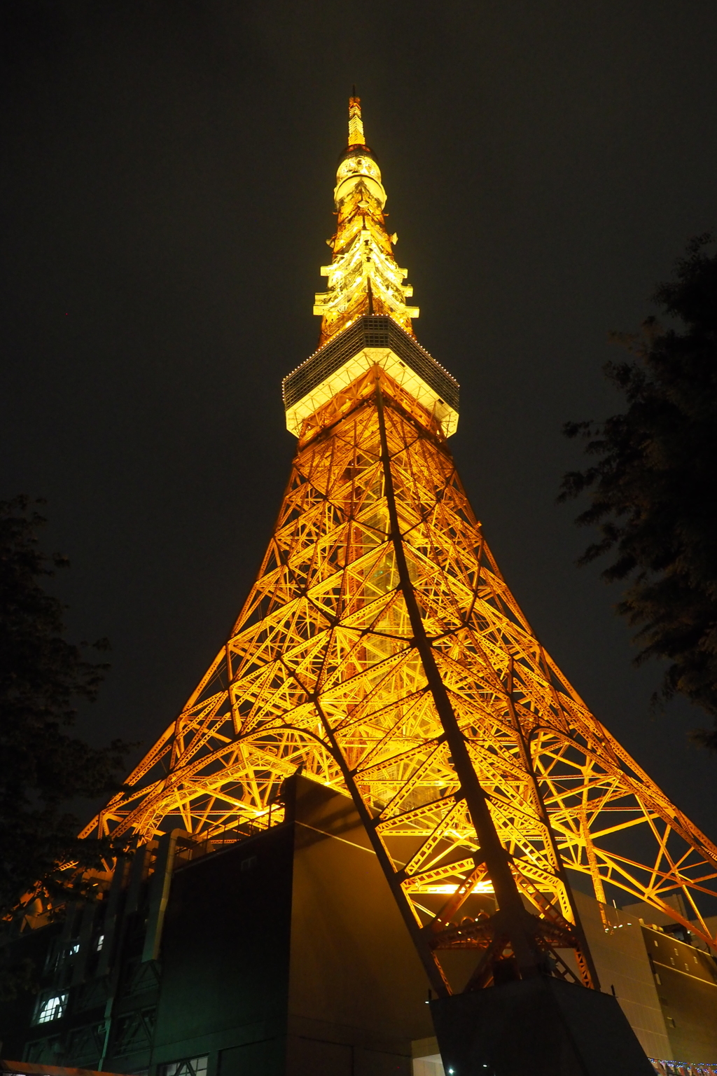 東京タワー8